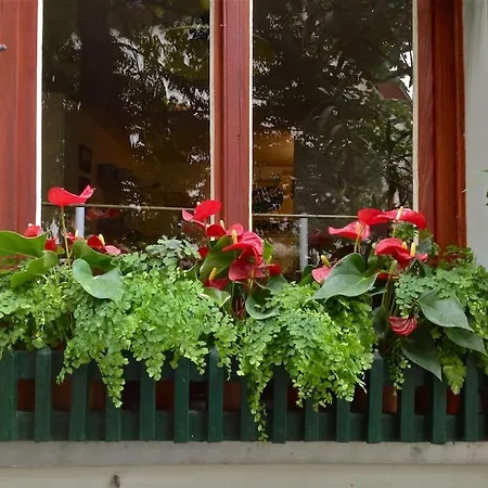 Historic Skipper's House In Old Town Kaub
