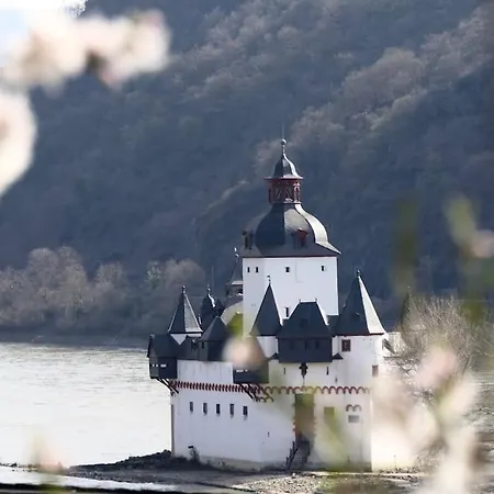 Historic Skipper's House In Old Town Kaub